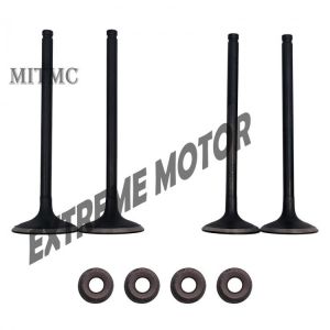 בוכנה ורינגים ל CF500/520 מספר קטלוגי - 0180-022004 / 0180-022005 / 0010-022500